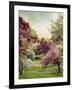 Cherry Tree Grove-Jessica Jenney-Framed Giclee Print