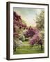 Cherry Tree Grove-Jessica Jenney-Framed Giclee Print