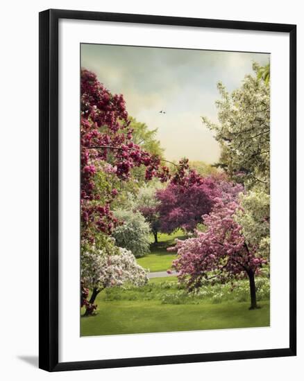 Cherry Tree Grove-Jessica Jenney-Framed Giclee Print