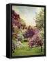 Cherry Tree Grove-Jessica Jenney-Framed Stretched Canvas