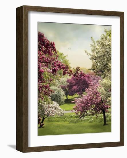 Cherry Tree Grove-Jessica Jenney-Framed Giclee Print