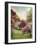 Cherry Tree Grove-Jessica Jenney-Framed Giclee Print