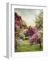 Cherry Tree Grove-Jessica Jenney-Framed Giclee Print