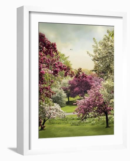 Cherry Tree Grove-Jessica Jenney-Framed Giclee Print