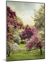 Cherry Tree Grove-Jessica Jenney-Mounted Giclee Print