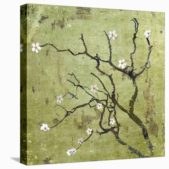 Cherry Tree I-Karen Williams-Stretched Canvas