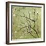 Cherry Tree I-Karen Williams-Framed Giclee Print