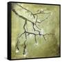 Cherry Tree II-Karen Williams-Framed Stretched Canvas