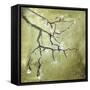 Cherry Tree II-Karen Williams-Framed Stretched Canvas