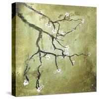 Cherry Tree II-Karen Williams-Stretched Canvas
