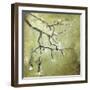 Cherry Tree II-Karen Williams-Framed Premium Giclee Print