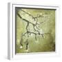 Cherry Tree II-Karen Williams-Framed Premium Giclee Print