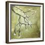 Cherry Tree II-Karen Williams-Framed Giclee Print