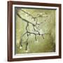 Cherry Tree II-Karen Williams-Framed Giclee Print