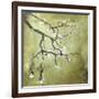 Cherry Tree II-Karen Williams-Framed Giclee Print