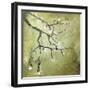 Cherry Tree II-Karen Williams-Framed Giclee Print