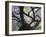 Cherry Tree in Bloom, Portland Japanese Garden, Portland, Oregon, USA-Michel Hersen-Framed Premium Photographic Print