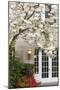 Cherry Tree in Full Bloom, Pitcock Mansion, Portland, Oregon, USA-Chuck Haney-Mounted Premium Photographic Print