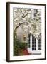 Cherry Tree in Full Bloom, Pitcock Mansion, Portland, Oregon, USA-Chuck Haney-Framed Photographic Print