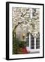 Cherry Tree in Full Bloom, Pitcock Mansion, Portland, Oregon, USA-Chuck Haney-Framed Photographic Print