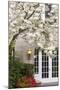Cherry Tree in Full Bloom, Pitcock Mansion, Portland, Oregon, USA-Chuck Haney-Mounted Photographic Print