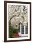Cherry Tree in Full Bloom, Pitcock Mansion, Portland, Oregon, USA-Chuck Haney-Framed Photographic Print