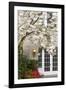 Cherry Tree in Full Bloom, Pitcock Mansion, Portland, Oregon, USA-Chuck Haney-Framed Photographic Print