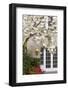 Cherry Tree in Full Bloom, Pitcock Mansion, Portland, Oregon, USA-Chuck Haney-Framed Photographic Print