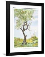 Cherry Tree in Norwood Glen-Fioravanti-Framed Limited Edition