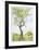 Cherry Tree in Norwood Glen-Fioravanti-Framed Limited Edition