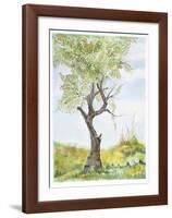 Cherry Tree in Norwood Glen-Fioravanti-Framed Limited Edition