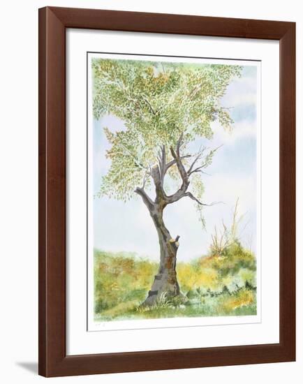 Cherry Tree in Norwood Glen-Fioravanti-Framed Limited Edition