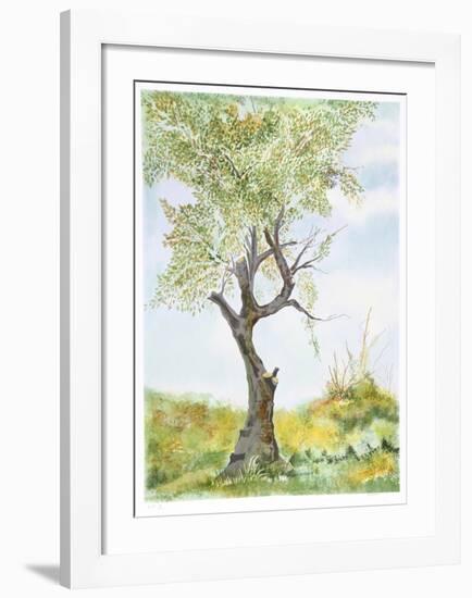 Cherry Tree in Norwood Glen-Fioravanti-Framed Limited Edition