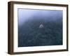 Cherry Tree in the Misty Forest-null-Framed Photographic Print