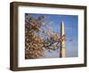 Cherry Tree near Washington Monument-Joseph Sohm-Framed Photographic Print