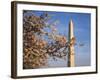 Cherry Tree near Washington Monument-Joseph Sohm-Framed Photographic Print