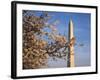 Cherry Tree near Washington Monument-Joseph Sohm-Framed Photographic Print