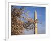 Cherry Tree near Washington Monument-Joseph Sohm-Framed Photographic Print