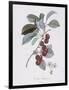 Gramercy Black