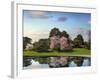 Cherry Tree Reflections-Jessica Jenney-Framed Photographic Print