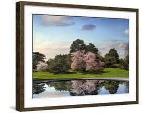 Cherry Tree Reflections-Jessica Jenney-Framed Photographic Print