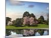 Cherry Tree Reflections-Jessica Jenney-Mounted Photographic Print