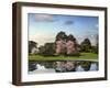 Cherry Tree Reflections-Jessica Jenney-Framed Photographic Print