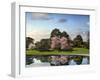 Cherry Tree Reflections-Jessica Jenney-Framed Photographic Print