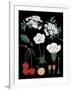 Cherry Tree-null-Framed Giclee Print