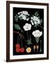 Cherry Tree-null-Framed Giclee Print