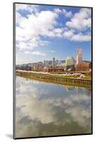 Cherry Trees along down Town Portland and Willamette River, Portland Oregon.-Craig Tuttle-Mounted Photographic Print