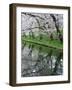 Cherry Trees and Blossoms Reflected in Outer Moat of Hirosaki Park, Hirosaki, Japan-null-Framed Photographic Print