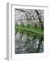 Cherry Trees and Blossoms Reflected in Outer Moat of Hirosaki Park, Hirosaki, Japan-null-Framed Photographic Print