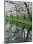 Cherry Trees and Blossoms Reflected in Outer Moat of Hirosaki Park, Hirosaki, Japan-null-Mounted Photographic Print